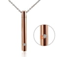 thumbnail image 5 of Urna para mascotas de acero de titanio, colgante minimalista de Perfume, collar, botellas de almacenamiento de cenizas conmemorativas, joyería de moda, 5 of 5
