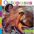 thumbnail image 2 of Octopuses, 2 of 2