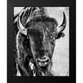 thumbnail image 2 of PHBurchett 12x14 Black Modern Framed Museum Art Print Titled - Buffalo Portrait, 2 of 5