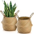thumbnail image 1 of Cesta Yesland para almacenamiento de plantas de hierba marina tejida, 30 x 27 cm, tamaño L, 1 of 7