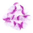 thumbnail image 1 of EeaseMX 2000 piezas de pétalos de rosa de seda para bodas, flores para esparcir, flores para niños, diseño de ceremonias, pétalos de simulación, morados y blancos., 1 of 7