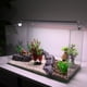 thumbnail image 2 of 1 Pieza De Plantas De Plástico Para Acuario, Planta Acuática Artificial Para Decoración De Plantas De Paisaje Rojo, Verde, 7.87, 2 of 7