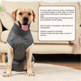 thumbnail image 1 of Pañal Para Perros De Cuerpo Completo, Escote Ensanchado Amigable Con La Piel Ropa Fisiológica Para Perros Lavable Higiénico Reutilizable Reduce La Ansiedad Por La Menstruación ANGGREK  Otros, 1 of 8
