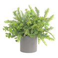 thumbnail image 1 of 1pc Simulation Eucalyptus en Pot Pot Pot de Fleurs Décoratives de Bureau (Vert), 1 of 3