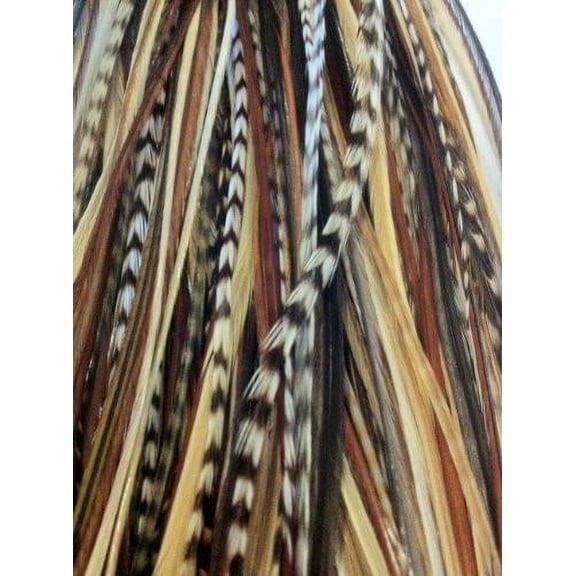 5-7 Black with Browns & Beige Quality Salon Feathers for Hair Extension