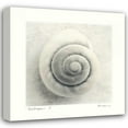thumbnail image 1 of Amy Melious 26x26 Gallery Wrapped Canvas Wall Art Titled - Sea Shapes I, 1 of 4