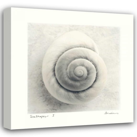 Amy Melious 26x26 Gallery Wrapped Canvas Wall Art Titled - Sea Shapes I