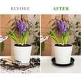 thumbnail image 2 of 13Pcs Plant Saucer Trays, 6/8/10 Inch Round, Plastic Drip Trays for Indoor/Outdoor Plants, 2 of 8