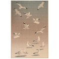 thumbnail image 1 of Trans-Ocean Imports RVI58765104 4 ft. 10 in. x 7 ft. 6 in. Liora Manne Riviera Seagulls Indoor & Outdoor Rug - Ocean, 1 of 1