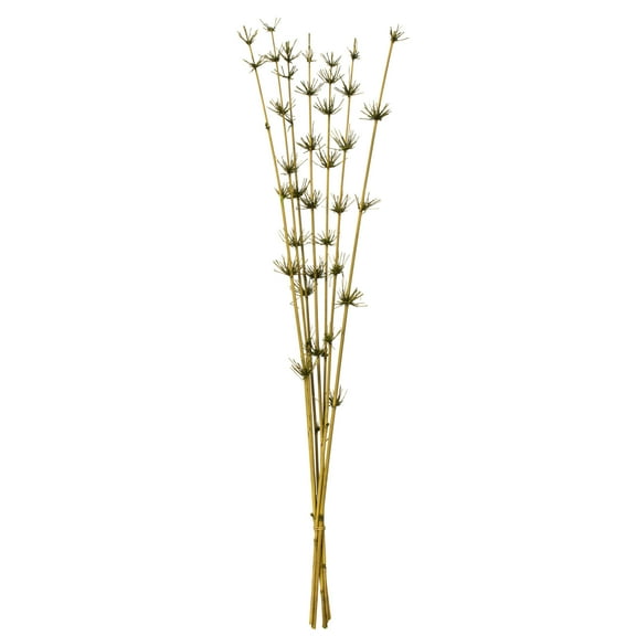 Vickerman 36-40" Basil Star Bamboo Reed, 7 stems, Dried