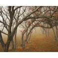 thumbnail image 2 of Vitaly Geyman 18x15 White Modern Wood Framed Wall Art Titled - Misty Oaks II, 2 of 5