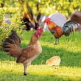thumbnail image 3 of Rooster Hen Chick Ground Plug, 3pcs Stereoscopic Chicken Garden Stake  for Backyards for Outdoor, 3 of 8