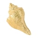 thumbnail image 2 of Tirador de puerta de latón Gloria caracol 4,8 cm x 2,8 cm, 2 of 9