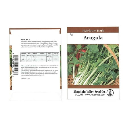 Arugula Garden Seeds - Slow Bolt - 3 Gram Packet - Organic, Heirloom Vegetable Gardening & Microgreens (Best Small Vegetable Garden Plants)