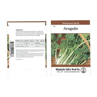 Roquette Lettuce Arugula Seeds - 100 Count Seed Pack - an Incredibly  Fast-Growing Cool Season Crop That adds a Fresh Spicy Kick to Salads and