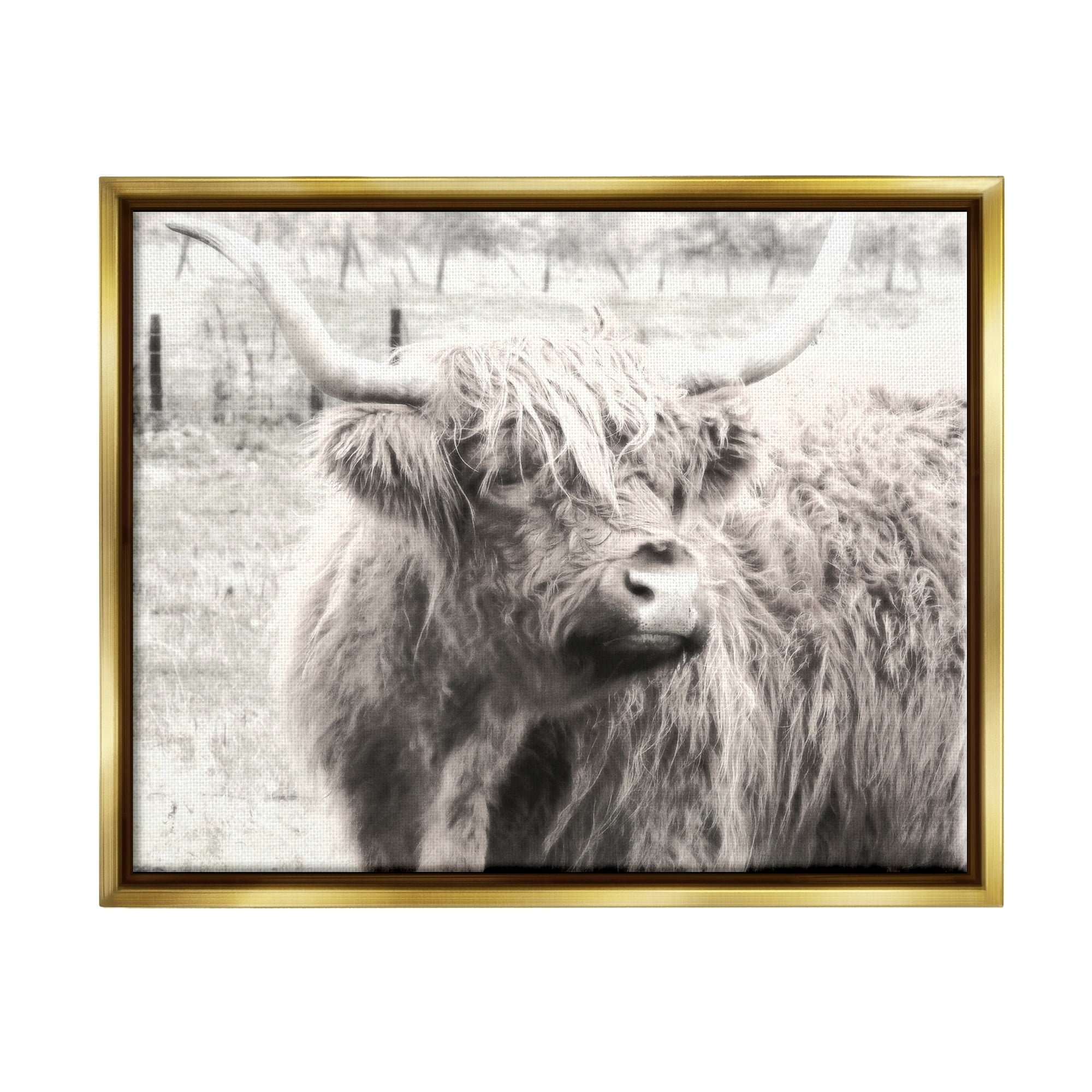 Stupell Industries Rustic Farm Highland Cattle Cow Monochrome Photography Photograph Metallic Gold Floating Framed Canvas Print Wall Art, Design by Graffitee Studios
