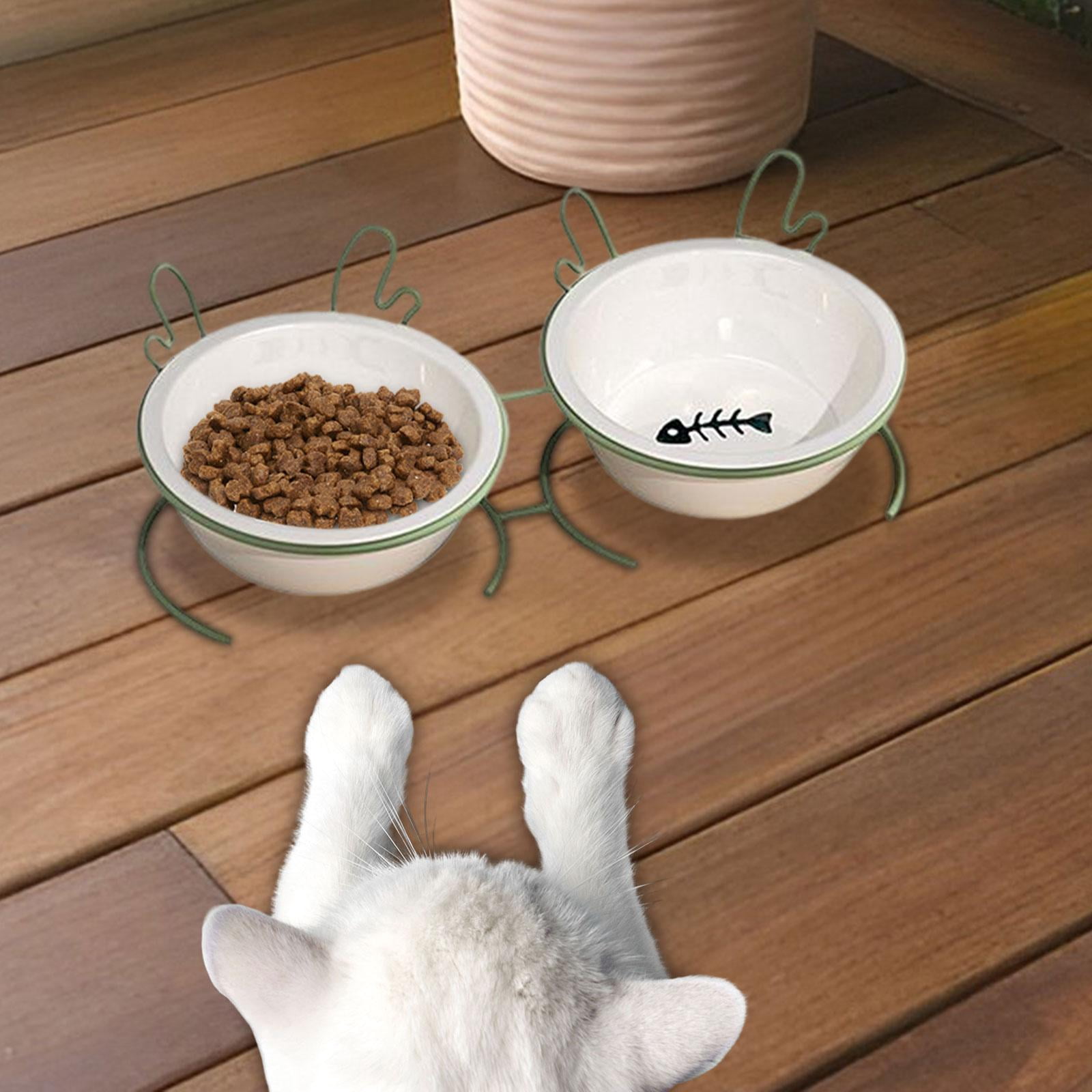 Raised Cat Bowl, Tilted Elevated Cat Bowl Pets Supplies Food Container Elevated Tilted Elevated Cat Food Bowl Pet Food Bowl for Cats Dogs Double Bowl