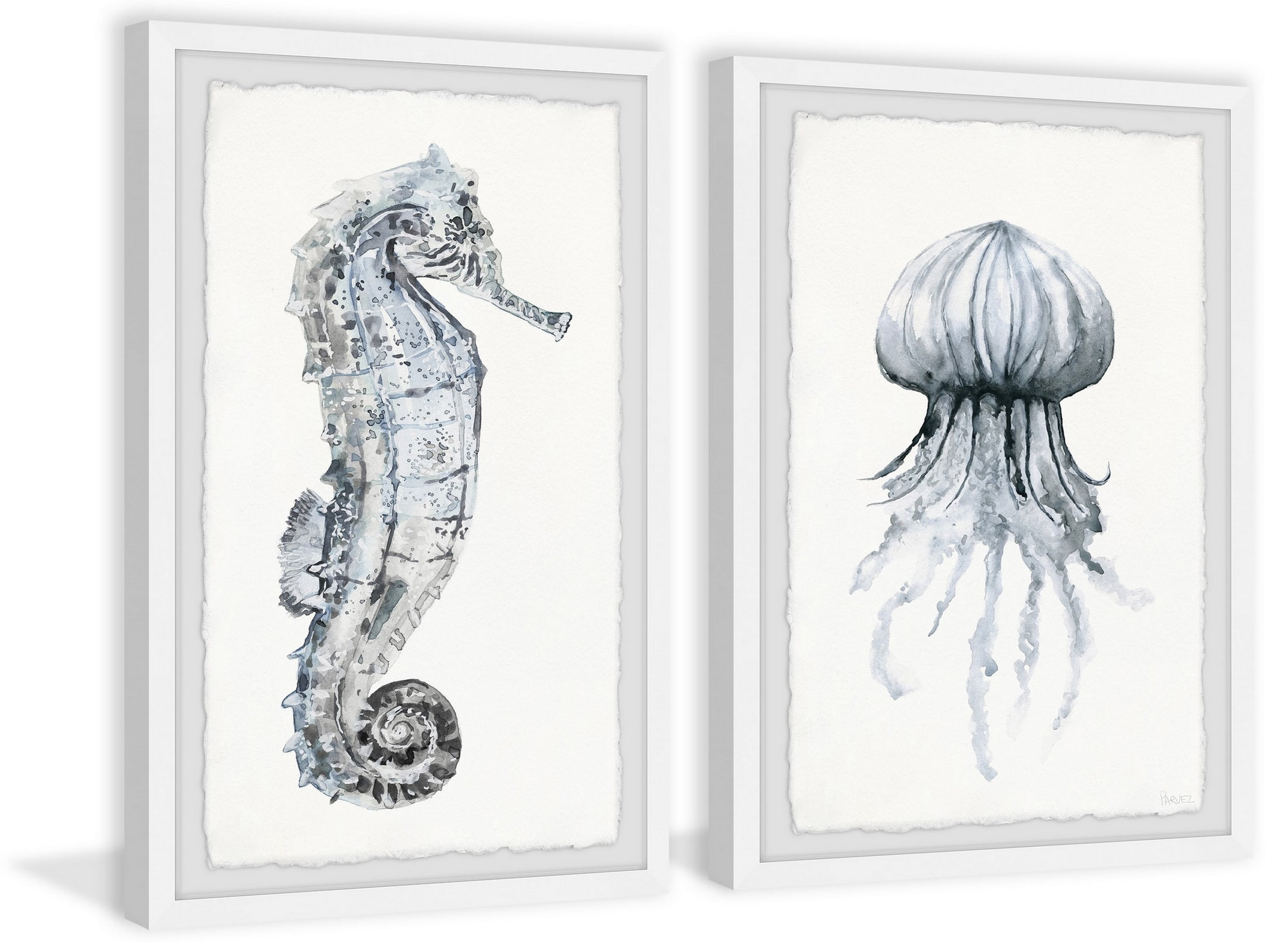 Parvez Taj Seahorse and Jellyfish Diptych