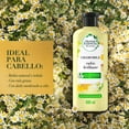 thumbnail image 3 of Acondicionador Herbal Essences Bio:Renew Chamomile, 400 ml, 3 of 5