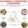 thumbnail image 5 of 100% Compostable 6 Inch Heavy-Duty Paper Plates Eco-Friendly Disposable Sugarcane Plates - Brown Unbleached, 5 of 7