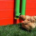thumbnail image 6 of Rugged Ranch High End Hen Elevated 2 Gallon Poultry Waterer and 10 Pound Feeder, 6 of 8
