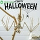 thumbnail image 2 of JINGXIA Esqueleto De Animales De Halloween , Modelo De Miedo Murciélagos Ratón De Murciélago Duradero Lagarto Escorpión Plásticos Huesos Humanos, 2 of 4