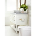 thumbnail image 3 of Amerock Revitalize Champagne Bronze Single Post Toilet Paper Holder, 3 of 8