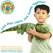 Igor The Iguana | 27 Inch Stuffed Animal Plush | By TigerHart Toys