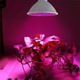 thumbnail image 5 of Skksst GU10 Plant Grow Light Bulb 4Pack 80 LEDs Red Blue Spectrum Indoor Succulents Veg Flower Growth Lamp, 5 of 6