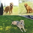 thumbnail image 5 of Correa para perros de 2,5 m - Correa larga para perros, correa de adiestramiento, correa larga con asa para perros pequeños y grandes., 5 of 5