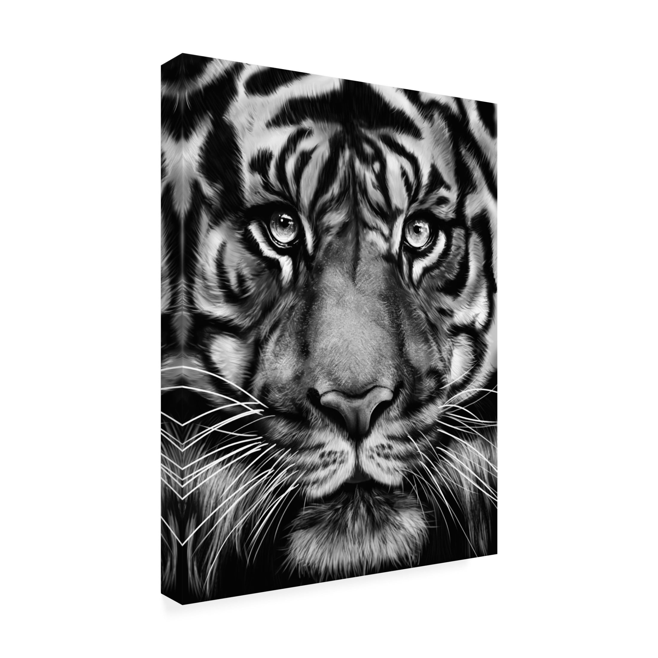 Trademark Fine Art Gabriella Roberg Tiger Canvas Wall Art