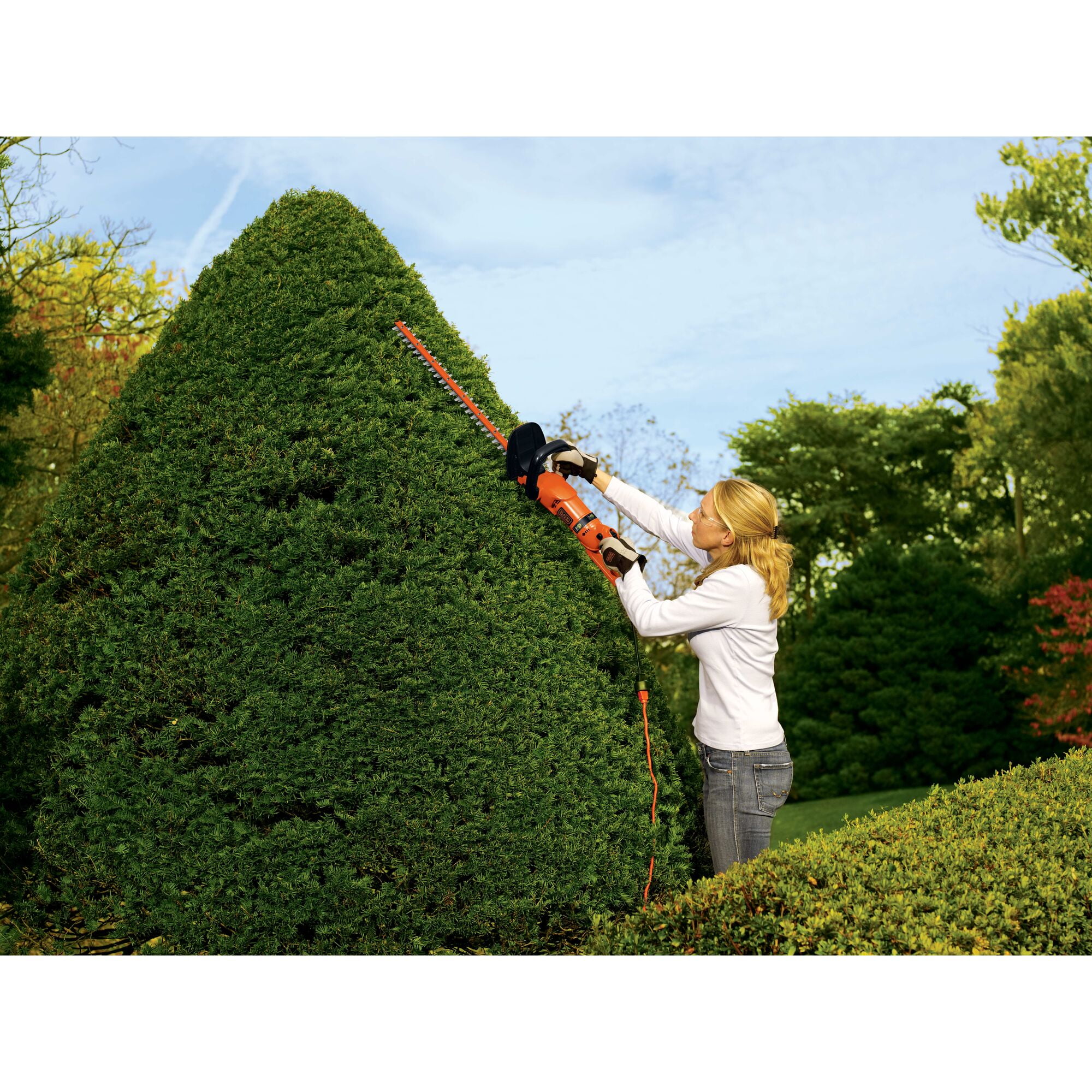 Black & Decker HH2455 24-inch HedgeHog Dual-action Blade Hedge Trimmer