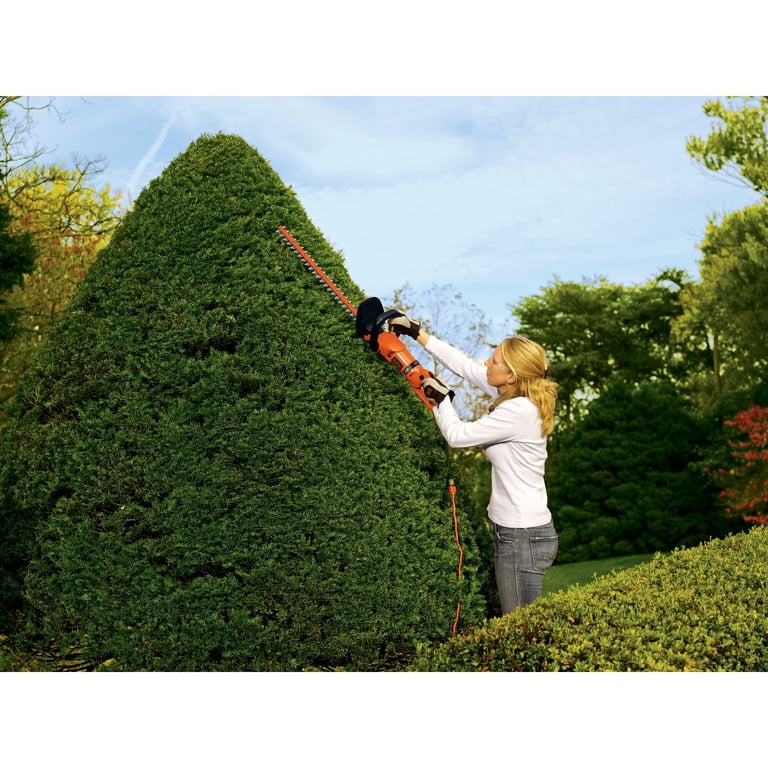 Black+Decker HH2455 24-Inch Dual-Action Hedge Trimmer photo 6