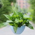 thumbnail image 4 of Ongmies Flower Pots clearance sales Hanging Basket Hanging Hanging Flower Pot Plastic Resin Green Potted Hanging Pot Hanging Chain Water Proof Net Blue, 4 of 4