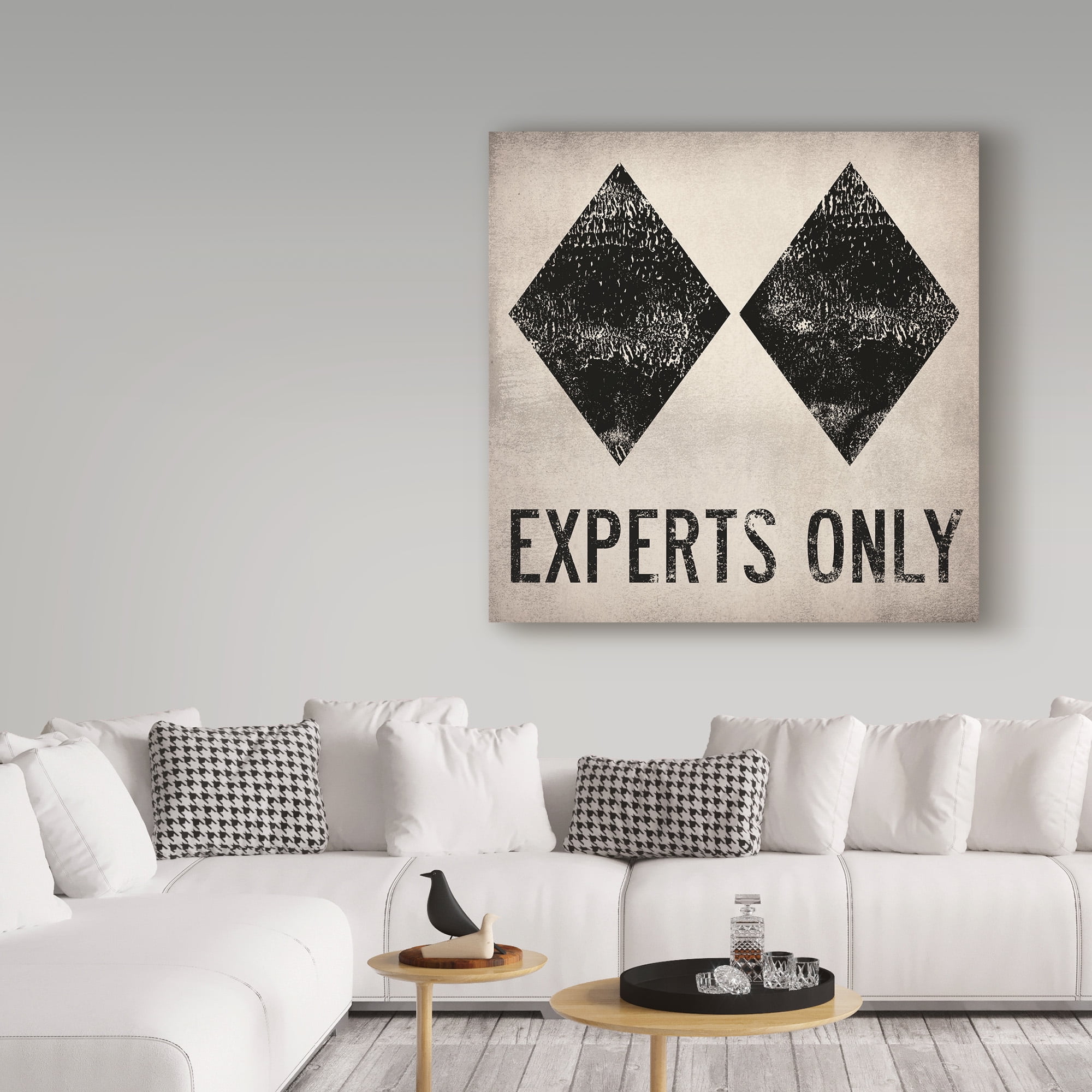 Trademark Fine Art 'Experts Only White' Canvas Art by Ryan Fowler