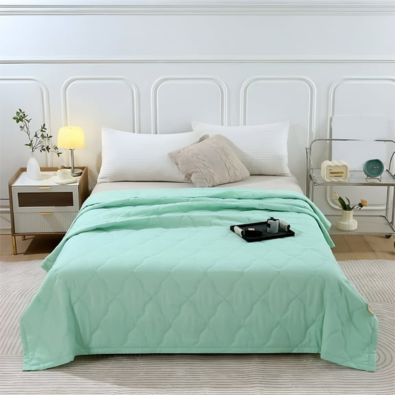 AUQ 2026 New Twin Quilt,Lightweight Bedspread for Summer,Soft Pre-Washed Quilt Bedding,Cozy Reversible Microfiber Bed Coverlet
