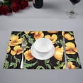 thumbnail image 2 of MKHERT Vintage Yellow Poppy Flowers Placemats Table Mats for Dining Room Kitchen Table Decoration 12x18 inch,Set of 6, 2 of 4