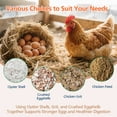 thumbnail image 2 of Chicken Grit and Oyster Shell Feeder for Hens – US Patent Pending – Heavy-Duty Metal Chicken Feeder with Rounded Edges – Chicken Coop Accessories Improve Eggshell Quality and Hen Health, 2 of 7