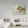 thumbnail image 3 of Trademark Fine Art 'Lioness' Canvas Art by Ron Parker, 3 of 3