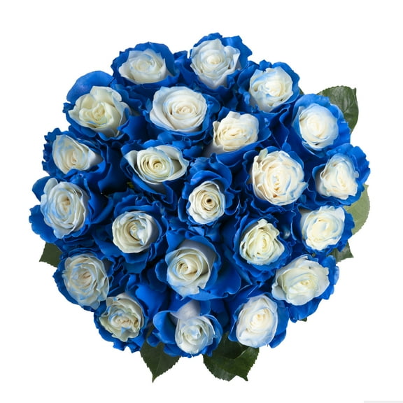 Blue Fairy Roses - 50 cm - Fresh Cut Flowers - 50 Stems - by Bloomingmore