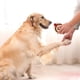 thumbnail image 5 of Perro de látex para masticadores. Juguete interactivo chirriante para perros pequeños. Función de sonido., 5 of 6