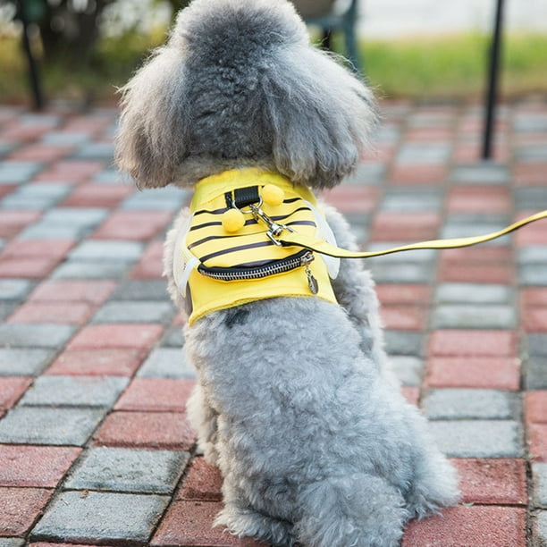 Walmart harness leash 2025
