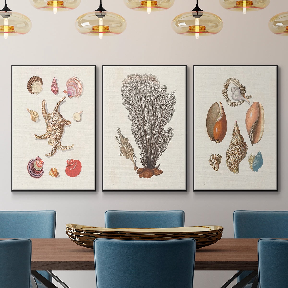 Knorr Shells & Coral I - Framed Premium Gallery Wrapped Canvas L Frame 3 Piece Set - Ready to Hang