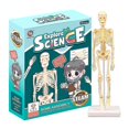 thumbnail image 1 of Human Skeleton Model Chenghai Children's Early Education Educational Toys Science And Teaching Aids High Quality, 1 of 3