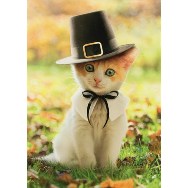Avanti Press Pilgrim Cat Kitten Thanksgiving Card Walmart Com