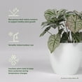 thumbnail image 2 of Greenline Fiberglass Lucy Medium Indoor/Outdoor Round Planter - 15" x 15" x 13" (Gloss White), 2 of 7