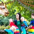 thumbnail image 4 of Decoraciones para fiestas con estampado de animales Tatuo Jungle Safari, 5 unidades, 4 of 7