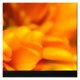 thumbnail image 5 of Laptop Lenovo Ideapad 3 NB IP 3 14IGL05 N4020 8G 1T, 5 of 5