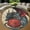 Dungeons Dragons, variant on Round Rug, Leopard Gecko Soft Washable Carpet, Non-Slip Floor Mat for Living Room Bedroom Home Decor 24 Inch