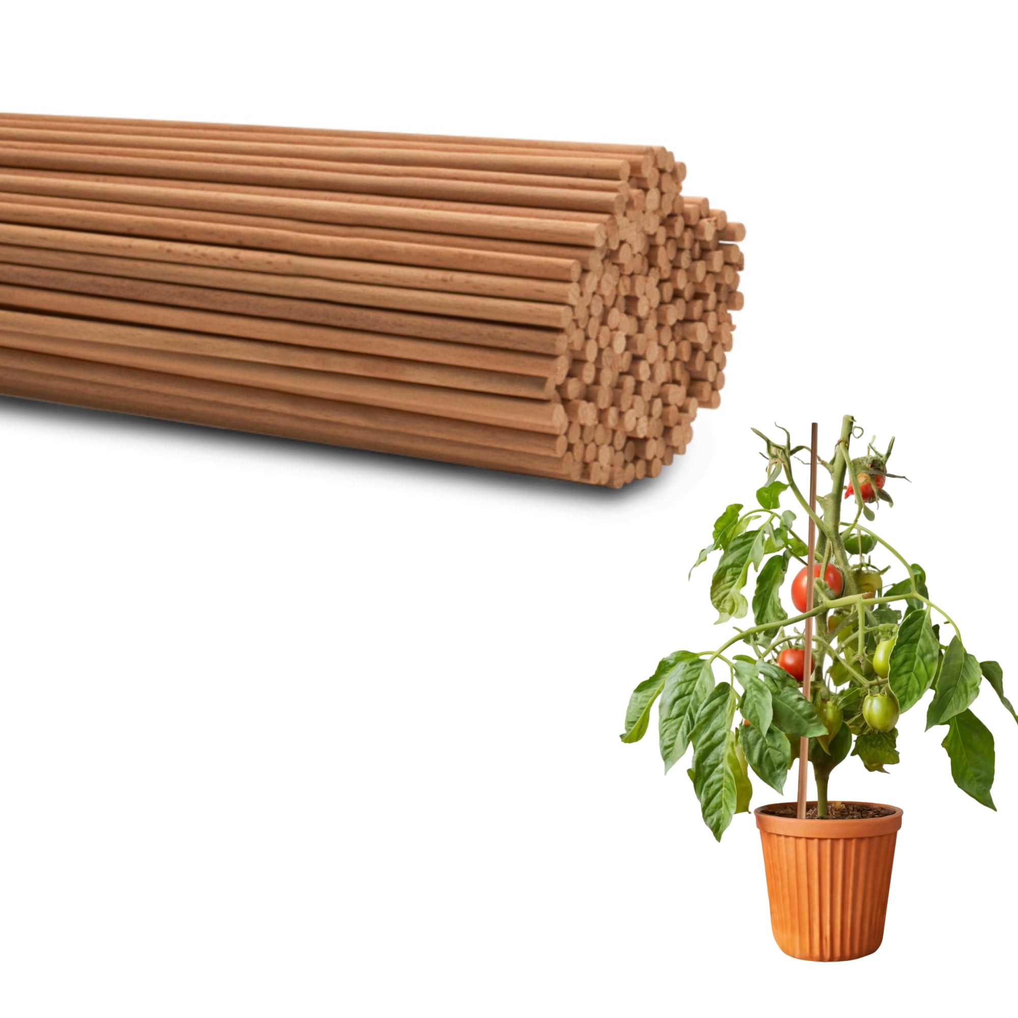 Wood Garden Stakes 3ft x 5/16 inch, Pack of 10 Beachwood Tomato Stakes Sturdier Than Cages for Garden Plant Support, by Woodpeckers